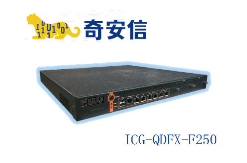 奇安信網康上網行爲管理ICG-QDFX-F250